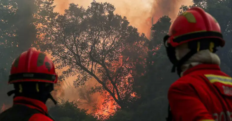 পর্তুগালের ভৌজেলায় দাবানল নিয়ন্ত্রণে কাজ করছেন দমকলকর্মীরা